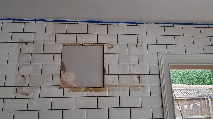 Before image
